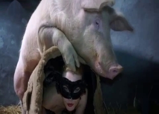 Hot pig fucked her ass in the barn