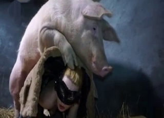 Hot pig fucked her ass in the barn