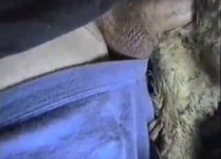 Hairy animal gets fucked in the local barn