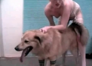 Cute pussy nicely fucked by the beast
