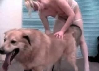 Cute pussy nicely fucked by the beast