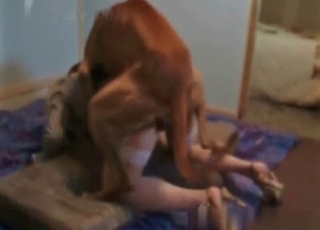 Dog licks her wide-opened shaved pussy