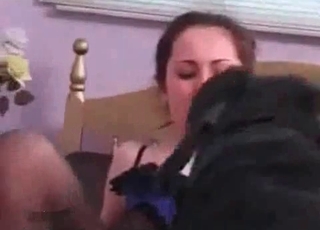 Sweet doggy takes a part in bestiality