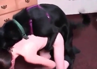 Shaved pussy hardly fucked by amazing doggy