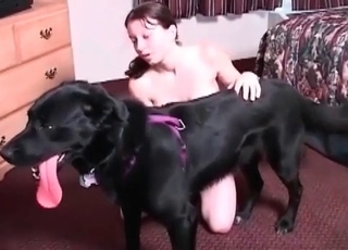 Shaved pussy hardly fucked by amazing doggy