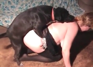 Tight pussy fucked hard by impressive labrador