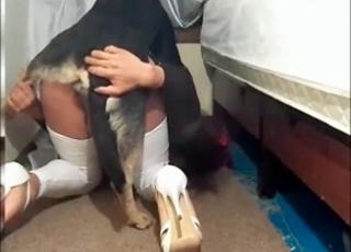 Stunning doggy fucking her accurate vagina