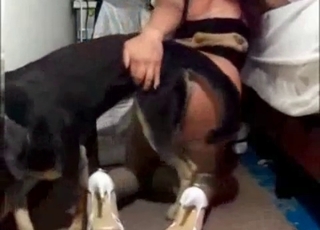 Stunning doggy fucking her accurate vagina