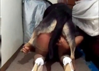 Stunning doggy fucking her accurate vagina