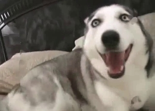 Stunning doggy fucked hard in missionary pose