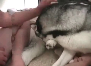 Stunning doggy fucked hard in missionary pose
