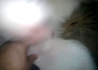 Playing with my trained white doggy