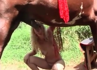 Stunning stallion fucking a juicy snatch
