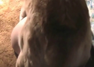Amazing doggy used for dirty bestiality XXX