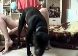 Trained dog licks her pussy like a pro