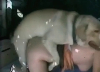 White animal banging her wet vagina
