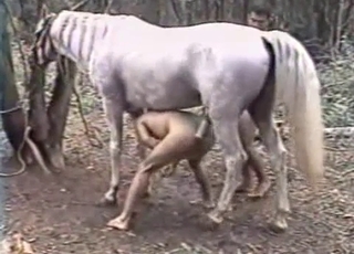 Sexy stallion penetrated her wet cunt