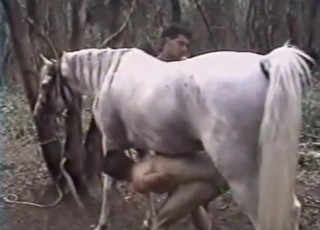 Sexy stallion penetrated her wet cunt