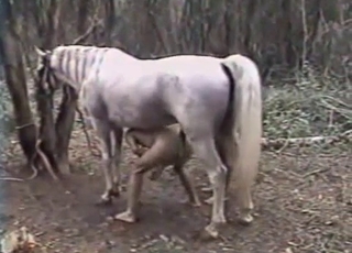 Sexy stallion penetrated her wet cunt