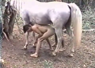 Sexy stallion penetrated her wet cunt