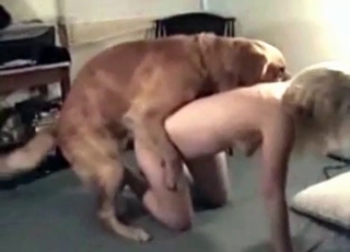 Amazing blonde doll and her muscled retriever
