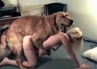 Amazing blonde doll and her muscled retriever