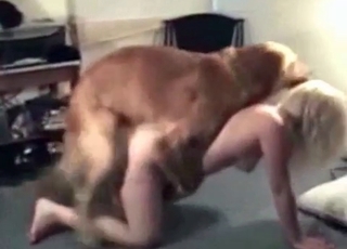 Amazing blonde doll and her muscled retriever