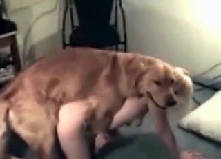 Amazing blonde doll and her muscled retriever