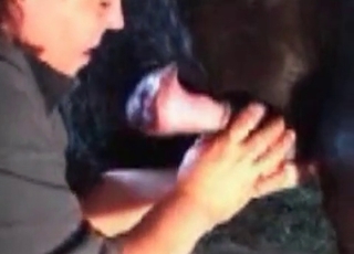 Sexy pony fucked a big-bottomed zoophile