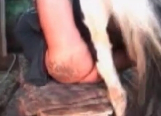 Sexy pony fucked a big-bottomed zoophile