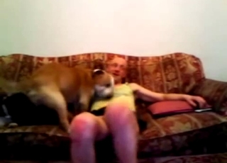 Bald man and doggy having sex on sofa