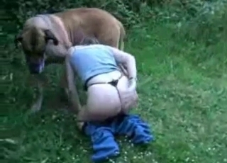 Big-ass babe fucks with her trained labrador