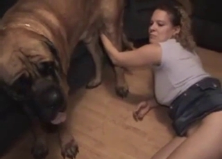 Blonde and doggy are enjoying bestiality