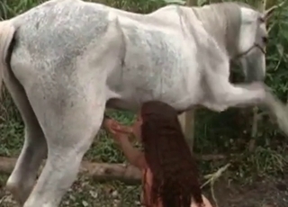 Sexy white horse sucked by amazing chick