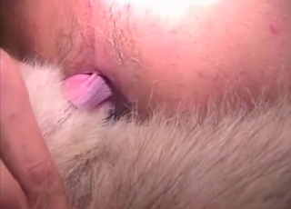 Passionate anal sex action with my doggy