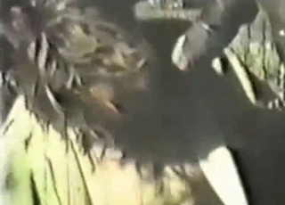 Sweet farm bestiality shot on hidden cam