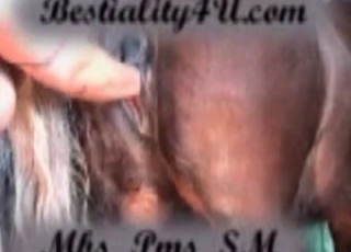 Shoving my hand deep in stallion ass