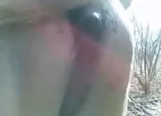 Fucking my lovely horse in doggy style