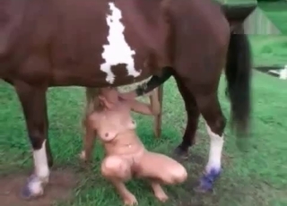 Good chick and stallion having amazing sex