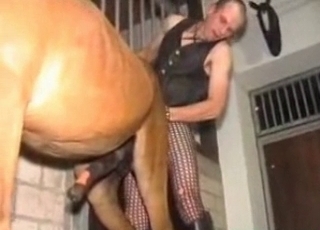 Big stallion dick looks so impressive