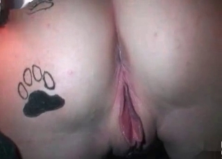 Impressive amateur bestiality with beast
