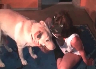 Impressive amateur bestiality with beast