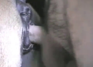 Male dick cums a big load in stallion ass