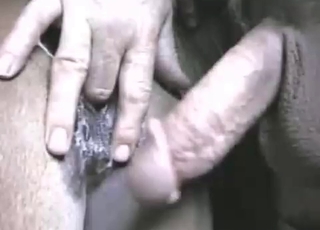 Male dick cums a big load in stallion ass