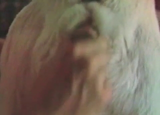Blonde doggy is enjoying anal stimulation