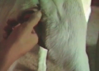 Blonde doggy is enjoying anal stimulation