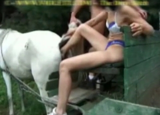 Sexy nice stallion fucked at farm