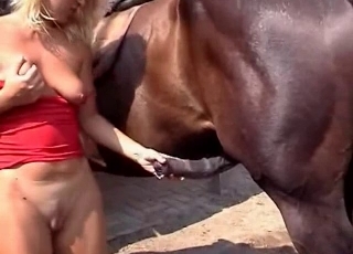 Wife and stallion having good pound session