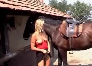 Wife and stallion having good pound session
