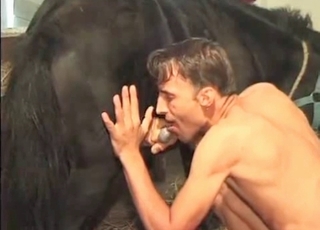 Farmer is sucking a sticky dick of a horse